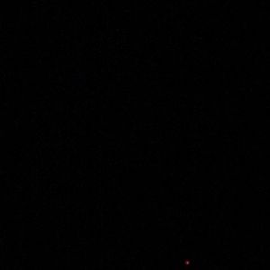 Meet your Posher, Dina